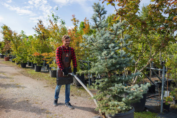 Best Storm Damage Tree Cleanup  in West Grove, PA